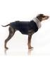 Preview: Hundejacke CLEA MarineT26